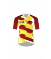 Maillot F. Aragonesa